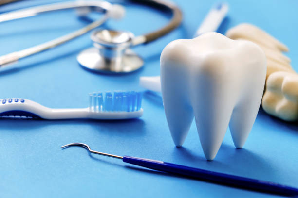 Best Wisdom Tooth Removal  in Brandon, FL